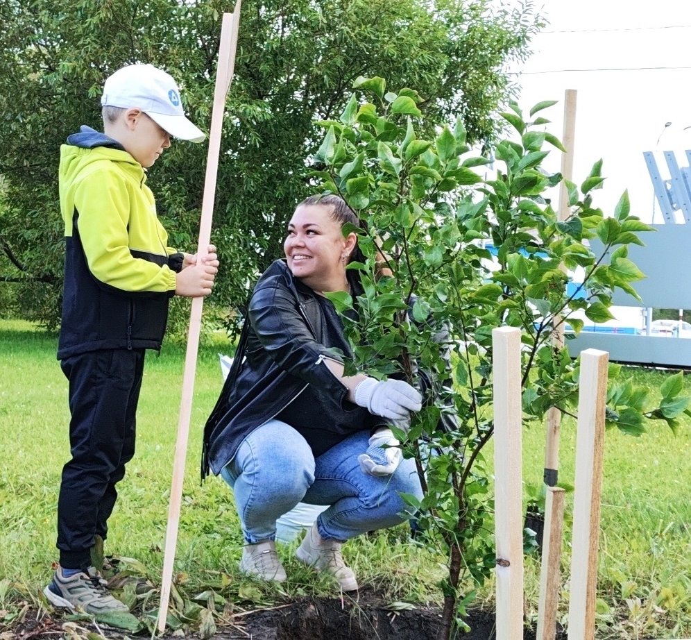 Высажена аллея семей магниевиков